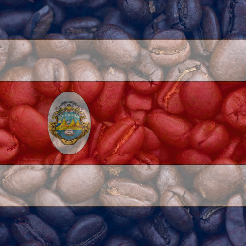 costa rican coffee